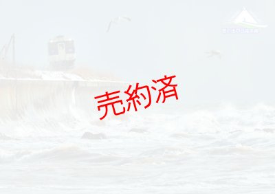 画像2: 下敷「思い出の日高本線」