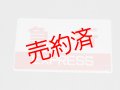 種別板「急行/団体」