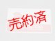 種別板「急行/団体」