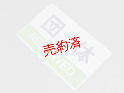 画像4: 種別板「急行/団体」