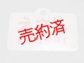 江差線「えさし」○函