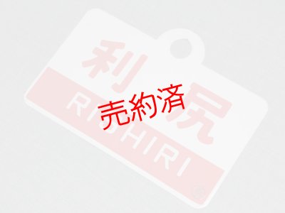 画像4: 利尻/利尻・指定席