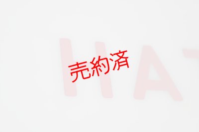 画像3: ヘッドマーク「はつかり」