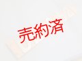 側面ナンバープレート「DE10521」