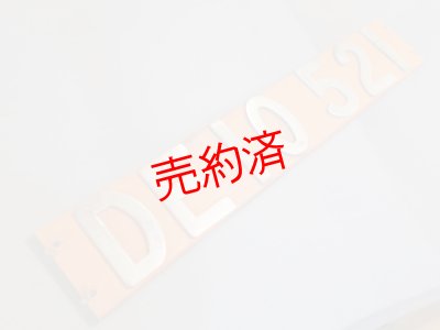 画像1: 側面ナンバープレート「DE10521」
