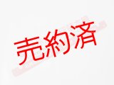 画像: 「ありがとう留萌本線」記念行先板C