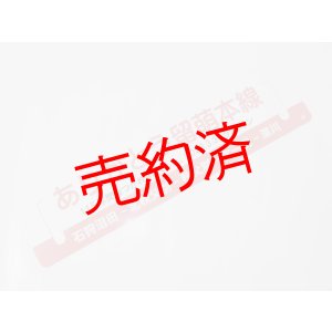 画像: 「ありがとう留萌本線」記念行先板C