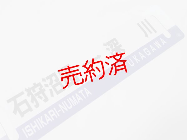 画像3: 「ありがとう留萌本線」記念行先板D