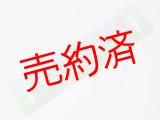 画像: 「ありがとう留萌本線」記念行先板B