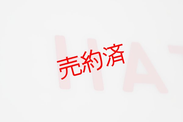 画像3: ヘッドマーク「はつかり」