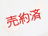 画像: 側面ナンバープレート「DE10521」