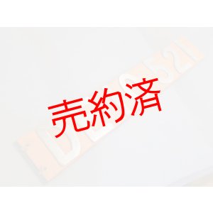 画像: 側面ナンバープレート「DE10521」